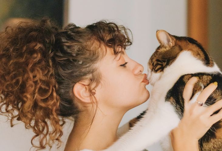 Beneficios de adoptar un gato adulto